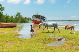 Brasilien Wanderritt & Expedition im Amazonas Delta 30.08. 09.09.2016