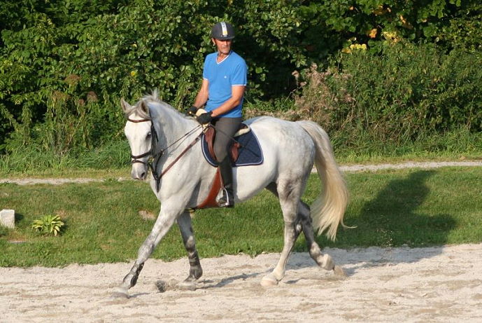 Erwachsenen-reitkurs im Gut Weissenhof
