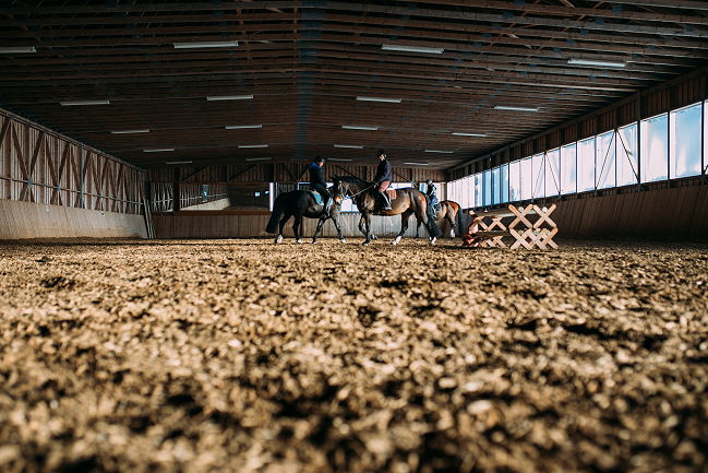 Angebote Reitkurse für Gross und Klein