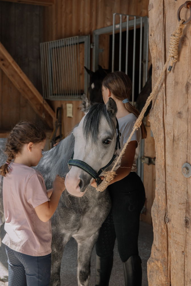 Reiten Pfingstferien