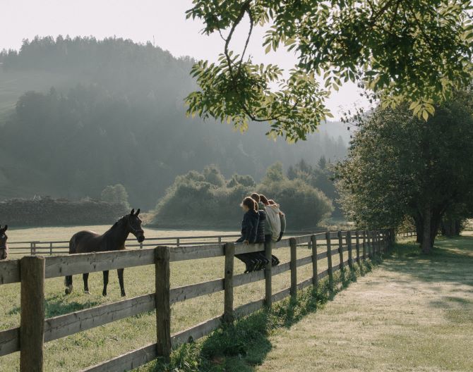 Reiten am Gut Weissenhof
